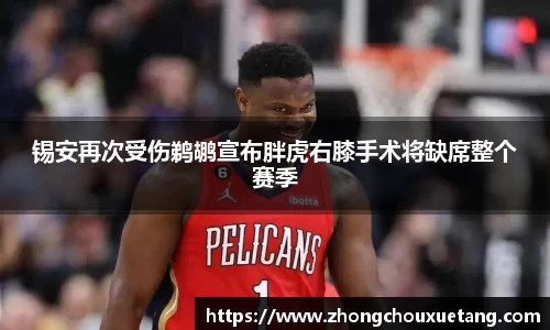 星空·综合体育中国官网入口